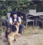 muere-perro-de-alejandro-fernndez